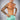 Eryx Teal Essential MMA Shorts - Eryxgear