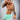 Eryx Teal Essential MMA Shorts - Eryxgear